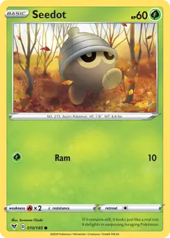 Seedot (10)